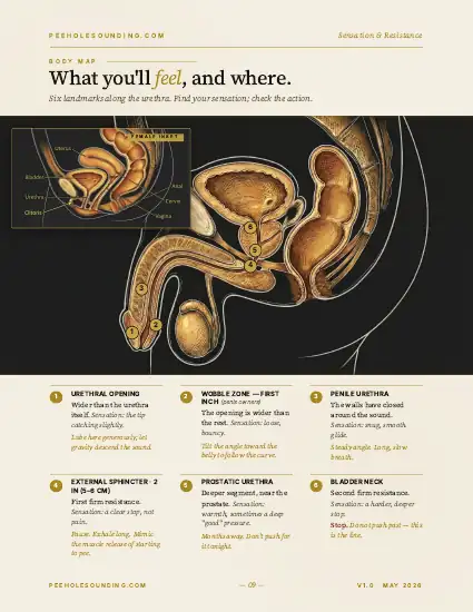 The First-Session Walkthrough — anatomy spread